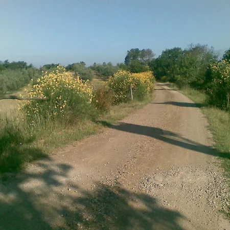 Podere Campovecchio Hétvégi ház