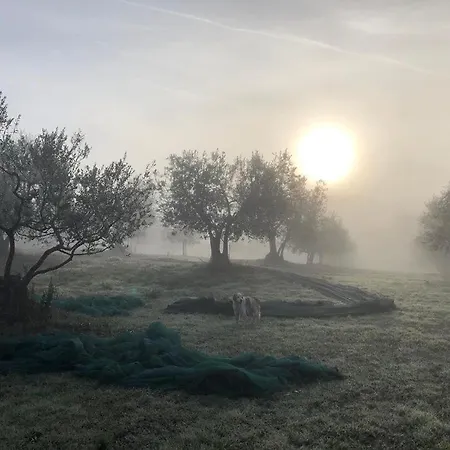 Podere Campovecchio Hétvégi ház Rapale